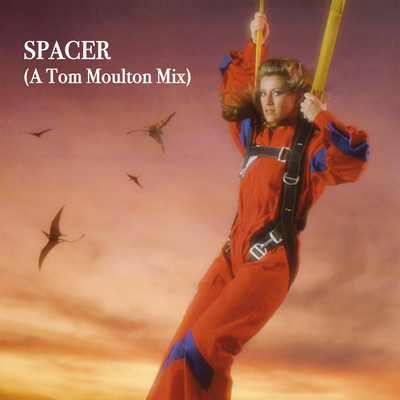 シングル/Spacer (A Tom Moulton Mix)/Sheila & B. Devotion