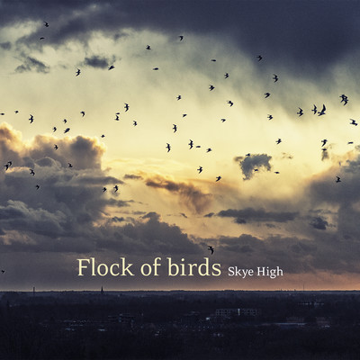 Flock of birds/Skye High