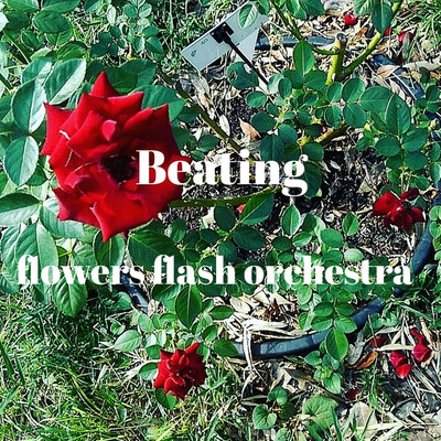 シングル/Beating/flowers flash orchestra