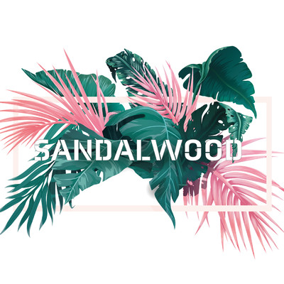 Sandalwood (feat. 初音ミク)/Twinfield
