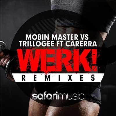 シングル/Werk！ (Excellia Remix) [feat. Carerra]/Mobin Master & Trillogee