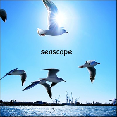 seascope/squeaker
