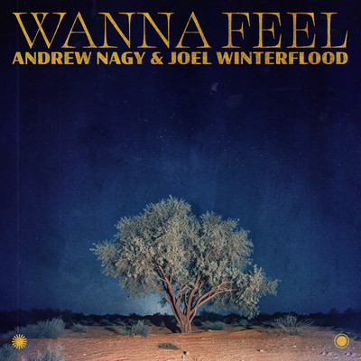 シングル/Wanna Feel/Andrew Nagy & Joel Winterflood
