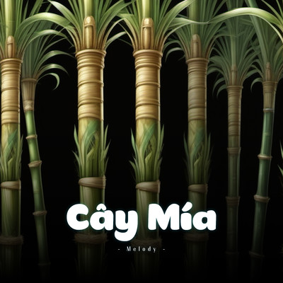 Cay Mia (Melody)/LalaTv