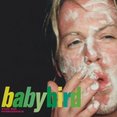 アルバム/You're Gorgeous/Babybird