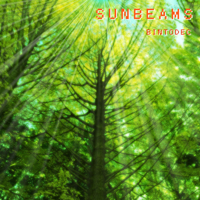 アルバム/SUNBEAMS/BINTODEC
