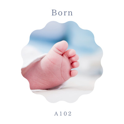 Born/A102