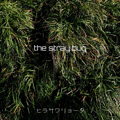 シングル/the stray bug/ヒラサワリョータ