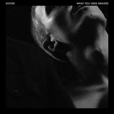 アルバム/What You Need (Remixes)/GOOSE