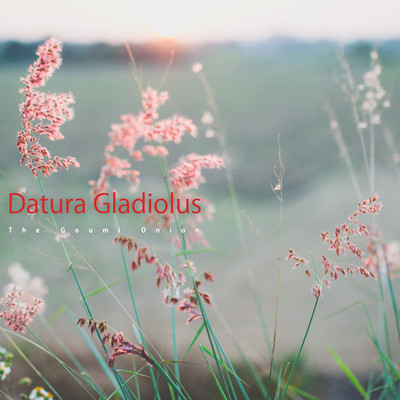 Datura Gladiolus/The Goumi Onion