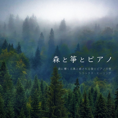 森と箏とピアノ 森に響く小鳥と癒される箏とピアノの音 リラックス・ヒーリング/VISHUDAN