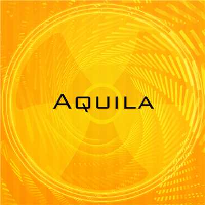 Aquila(Instrumental)/ELECTROCUTICA
