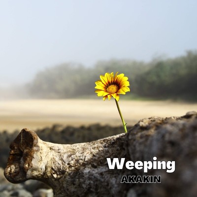 アルバム/Weeping/AKAKIN