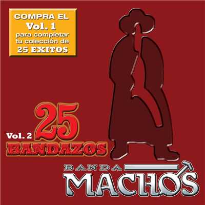 アルバム/25 Bandazos de Machos (Vol. 2) (USA)/Banda Machos
