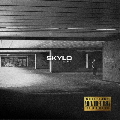 シングル/Skylo, Pt. 2 (feat. Jojo Wavy, KREEPLIFE & Reus )/T.Milan