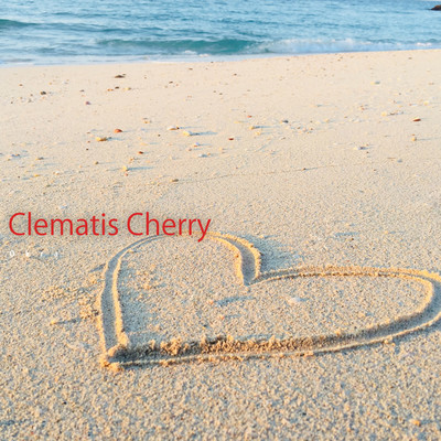 Clematis Cherry/Okra