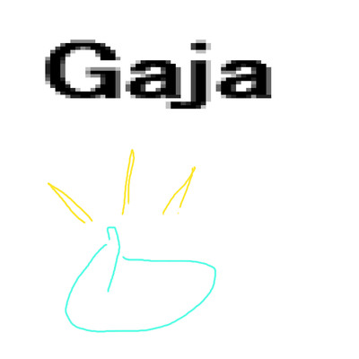 Gaja/岡柴