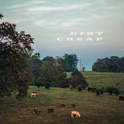 アルバム/Dirt Cheap/Brian Kelley