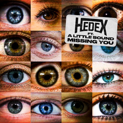 Missing You (feat. A Little Sound)/Hedex