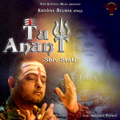 シングル/Tu Anant (Shiv Stuti)/Krishna Beuraa