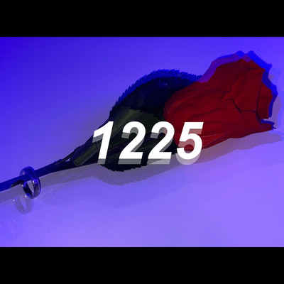1225(Original)/倭-yamato-