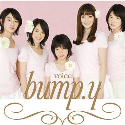 アルバム/voice/bump.y