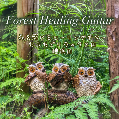アルバム/Forest Healing Guitar 森を感じる癒しのヒーリングギター おうちでリラックス用 睡眠用/DJ Relax BGM