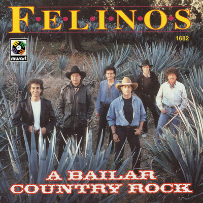 アルバム/A Bailar Country Rock/Los Felinos
