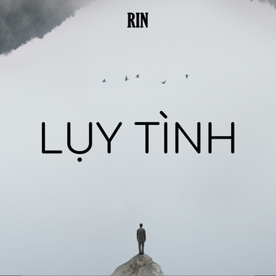 アルバム/Luy Tinh/RIN