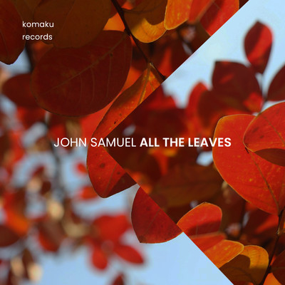 All The Leaves/John Samuel
