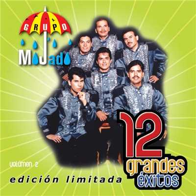 アルバム/12 Grandes exitos Vol. 2/Grupo Mojado