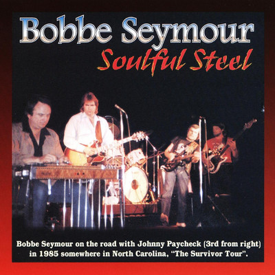 Soulful Steel/Bobbe Seymour