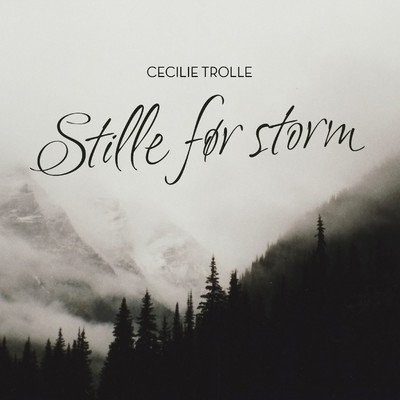 シングル/Stille for storm/Cecilie Trolle