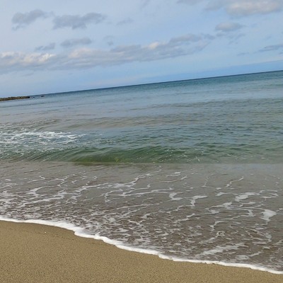 浜辺の歌/Taishi