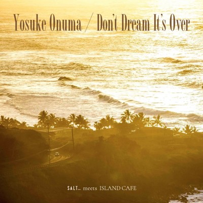シングル/Don't Dream It's Over (Chillsurf Long Version)/小沼ようすけ