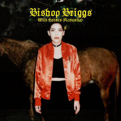 Wild Horses (Acoustic)/Bishop Briggs