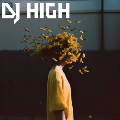 Se Van/DJ HIGH