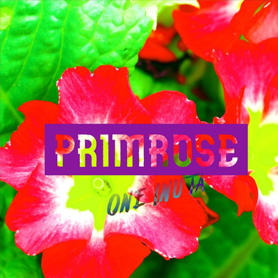 primrose/One Inuta
