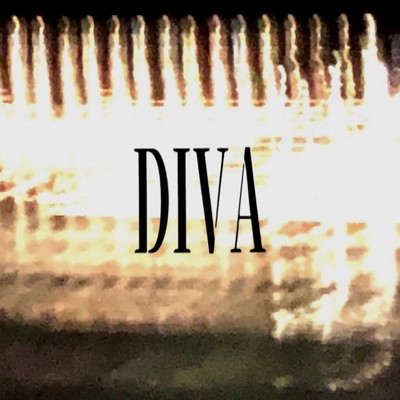 DIVA/井田敬介