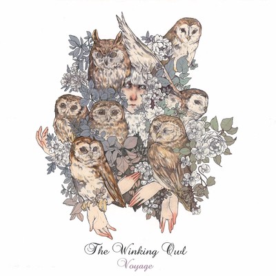 Through The Glass/The Winking Owl