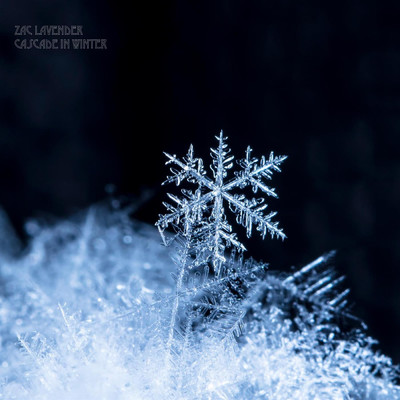 シングル/Cascade in Winter/Zac Lavender