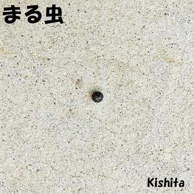 シングル/まる虫/kishita