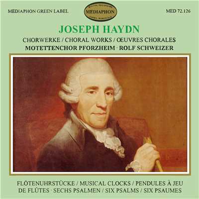 Franz Joseph Haydn: Choral Works/Rolf Schweizer & Motettenchor Pforzheim & Jugendkantorei der evangelischen Singschule Pforzheim