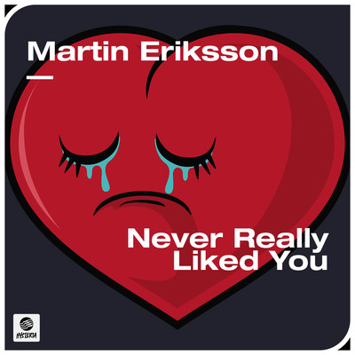 Never Really Liked You (Extended Mix)/Martin Eriksson