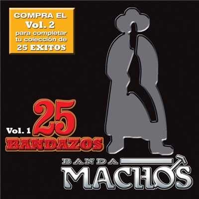 アルバム/25 Bandazos de Machos (Vol. 1) (USA)/Banda Machos