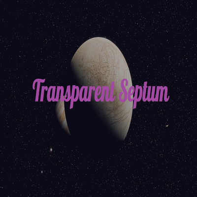 アルバム/Transparent Septum/Fastigial cortex