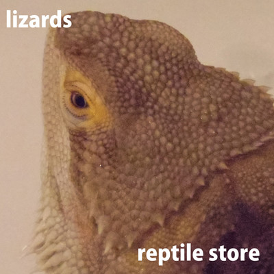 lizards/reptile store