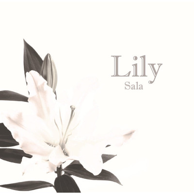 シングル/Lily(accostic ver.)/Sala
