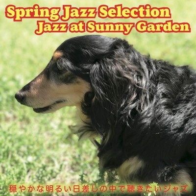 Spring Jazz Selection Jazz at Sunny Garden/Eddie Higgins Trio／Dan Nimmer Trio／Alexis Cole／Bucky Pizzarelli