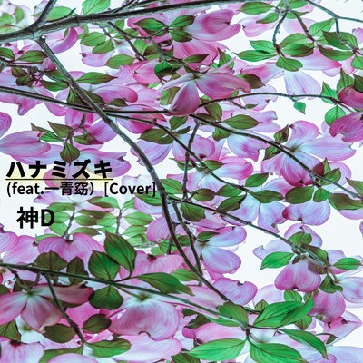 シングル/ハナミズキ (feat. 一青窈) [Cover]/神D